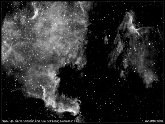 NGC7000 North American and IC5070 Pelican Nebulas in Ha