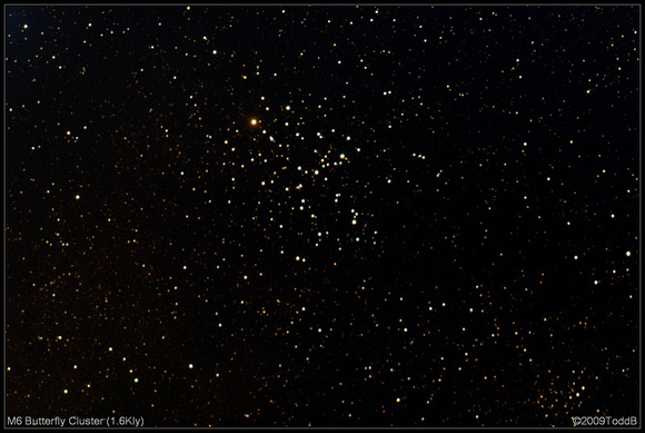 M6 Butterfly Cluster (1.6Kly)
