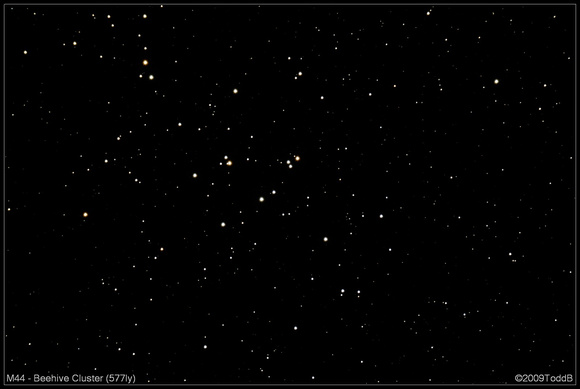 M44 - Beehive Cluster (577ly)